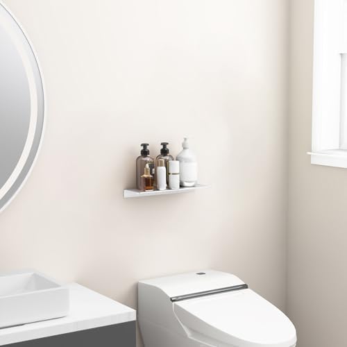 Danpoo Matte Silver Floating Metal Shelf for Wall Storage
