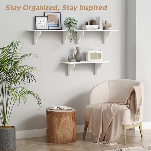 Forbena 24 Inch Wall Shelves Set of 3 White