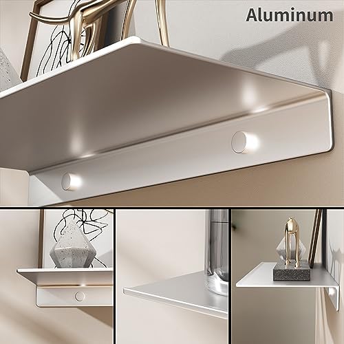 Danpoo Matte Silver Floating Metal Shelf for Wall Storage