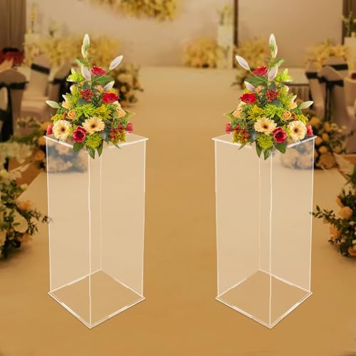 2 Pcs Acrylic Display Cube Pedestals for Flower and Decorations