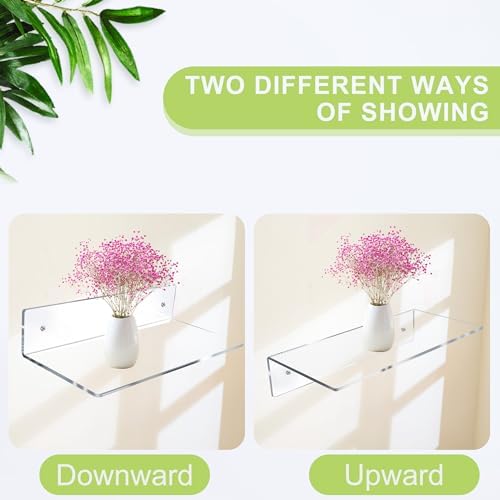 12 Inch L-Shaped Acrylic Floating Shelf 2 Pack