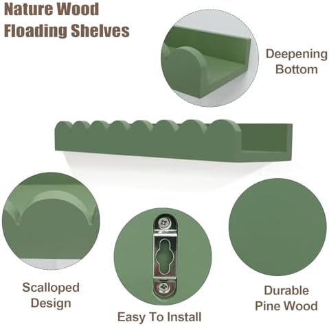 Scalloped Floating Wall Book Shelves Set of 4 Sage 16 Inch
