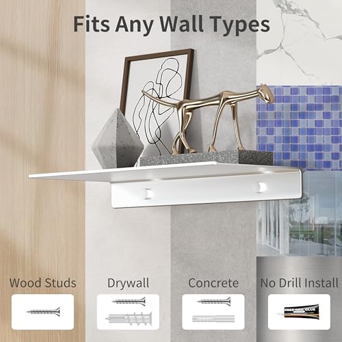 Danpoo Matte Silver Floating Metal Shelf for Wall Storage