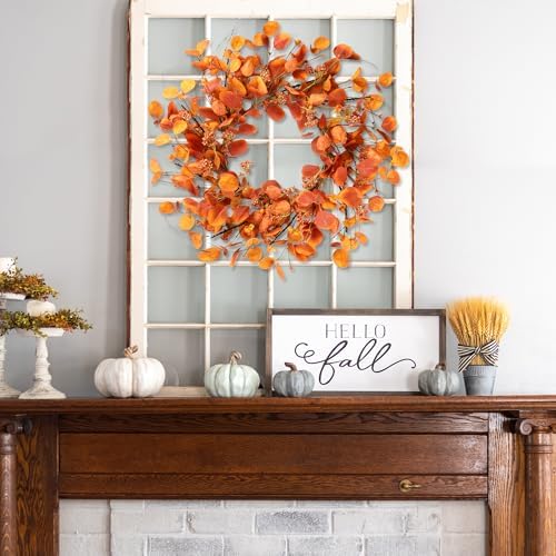 Sggvecsy Fall Wreath 20 Inch Autumn Decor for Front Door