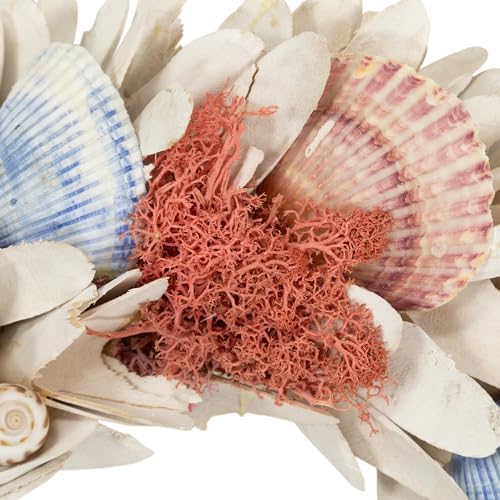 Northlight Artificial Seashell Wooden Wreath 13 Inch White