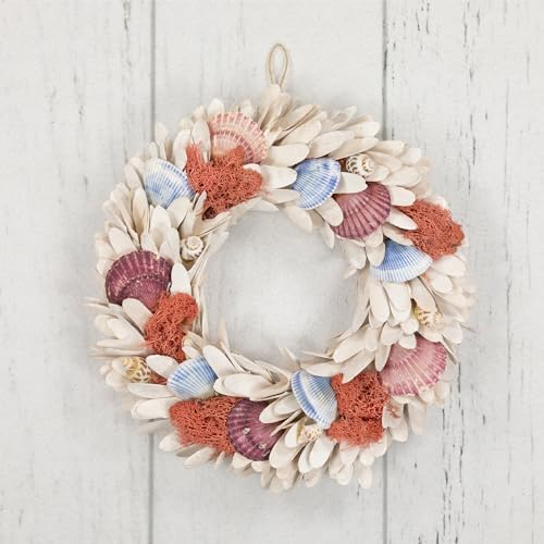 Northlight Artificial Seashell Wooden Wreath 13 Inch White