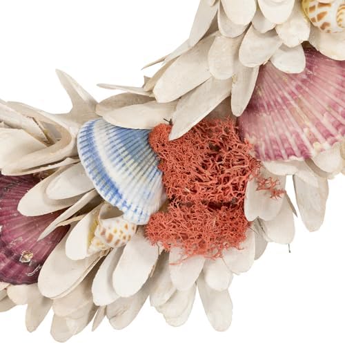Northlight Artificial Seashell Wooden Wreath 13 Inch White
