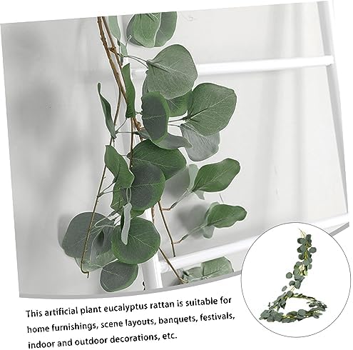 Eucalyptus Hanging Wreath for Home Decor