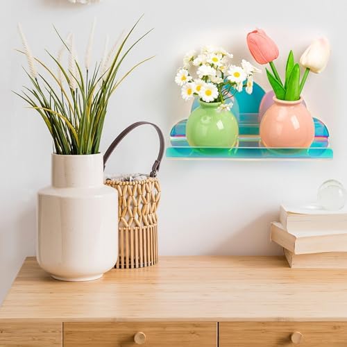 Lesnala 2Pcs Cloud Floating Shelf Acrylic Wall Mount with Stickers and Screws