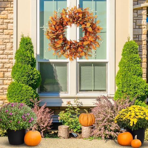 Sggvecsy Fall Wreath 21 Inch Autumn Decor Door Accent
