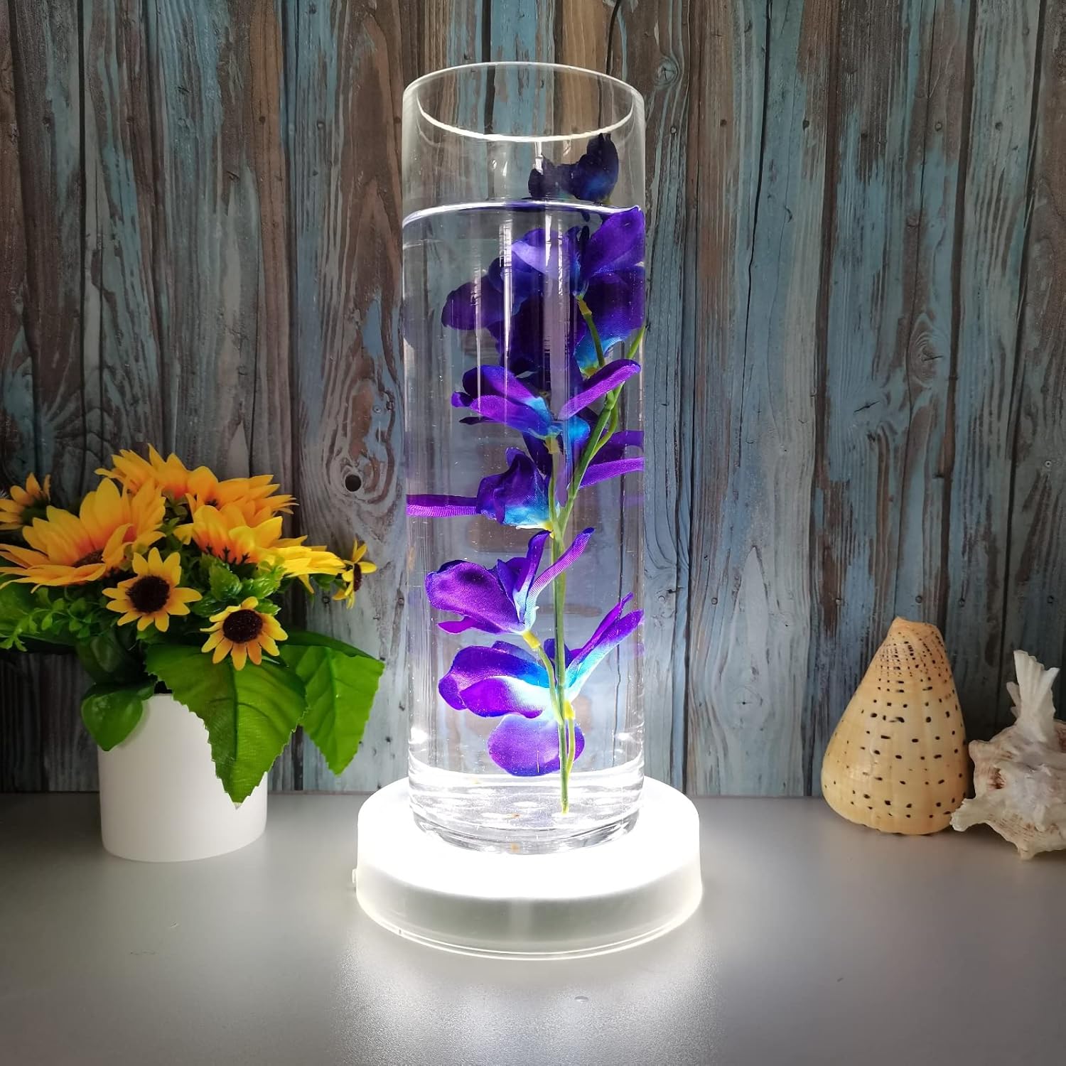 LARDUX 4 Pack LED Light Bases 6 Inch Round Display Pedestal