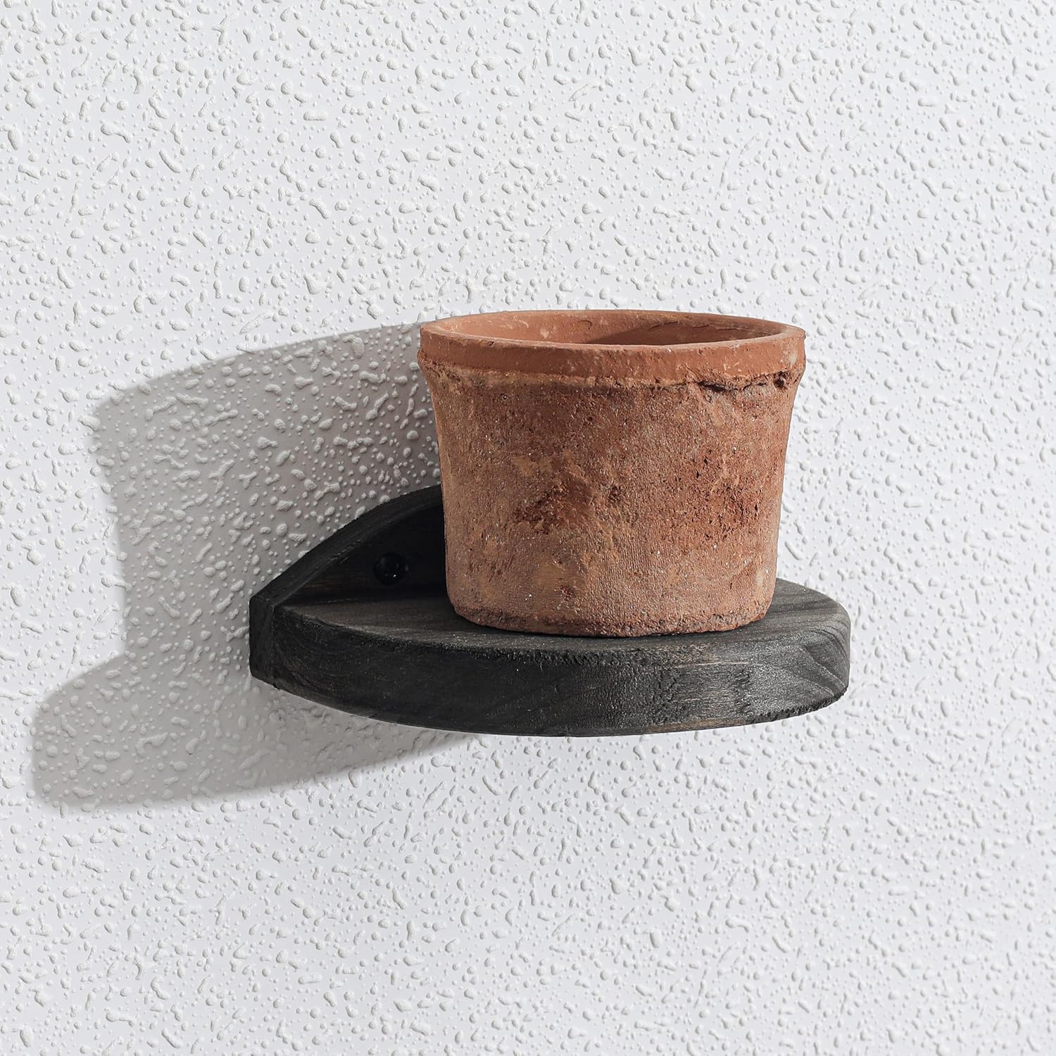 Freezing Point Semicircle Floating Shelves Set of 2